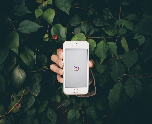 best category for your Instagram account
